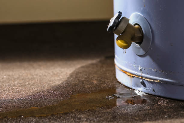 Best Water damage restoration near me  in Progreso, TX