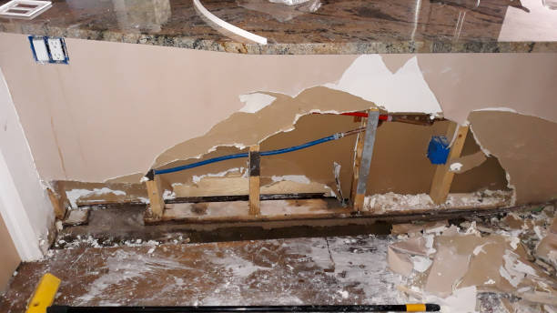 Best Water damage restoration specialists  in Progreso, TX