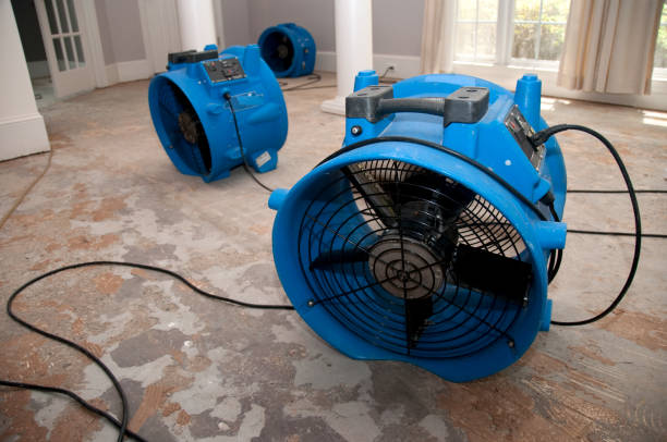 Best Water damage restoration cost  in Progreso, TX