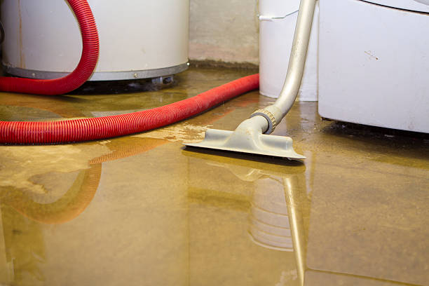 Best Residential water damage restoration  in Progreso, TX