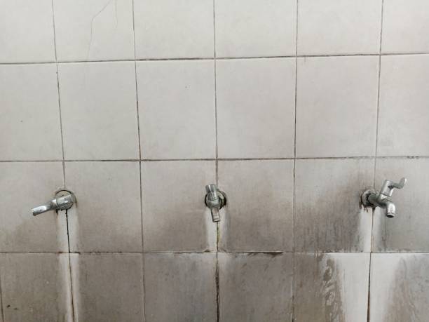 Best 24-hour water damage restoration  in Progreso, TX
