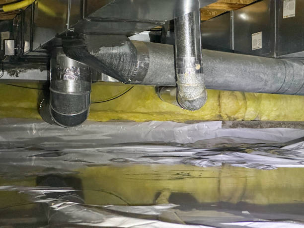 Best Ceiling water damage repair  in Progreso, TX