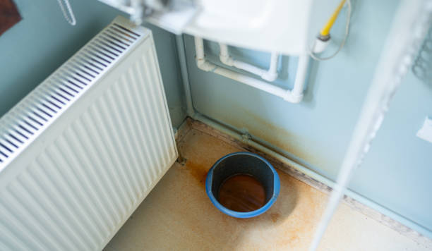 Best Water damage restoration experts  in Progreso, TX