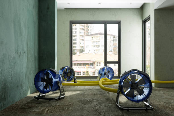 Best Commercial water damage restoration  in Progreso, TX